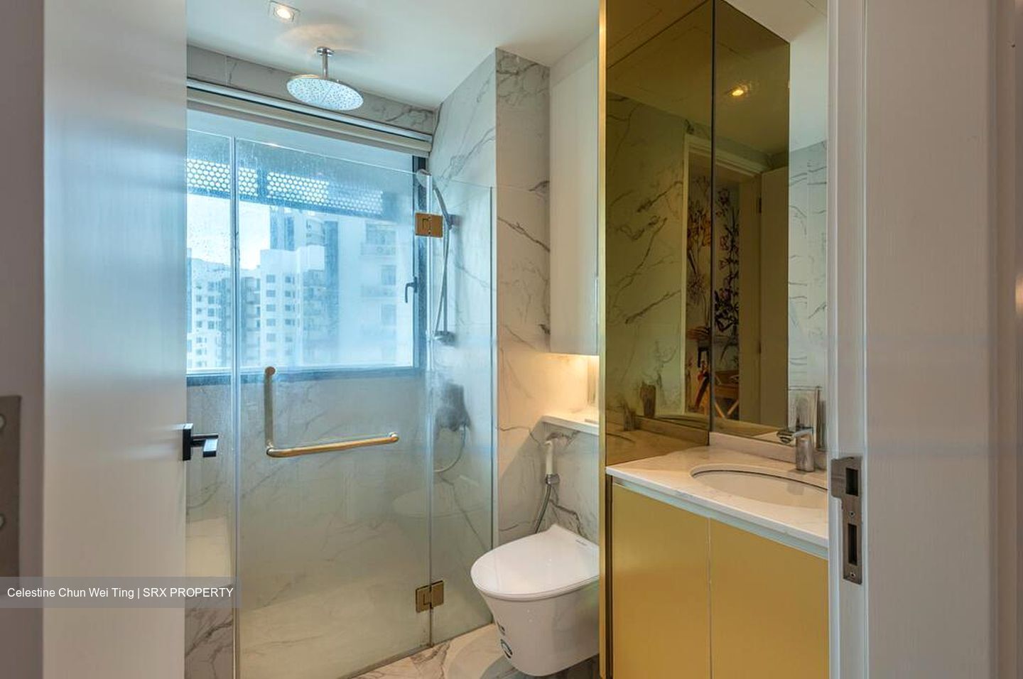 Robin Suites (D10), Apartment #483310881